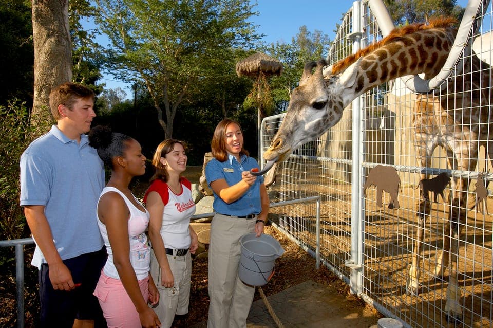San Diego Zoo Admission Ticket Gallery Image 2