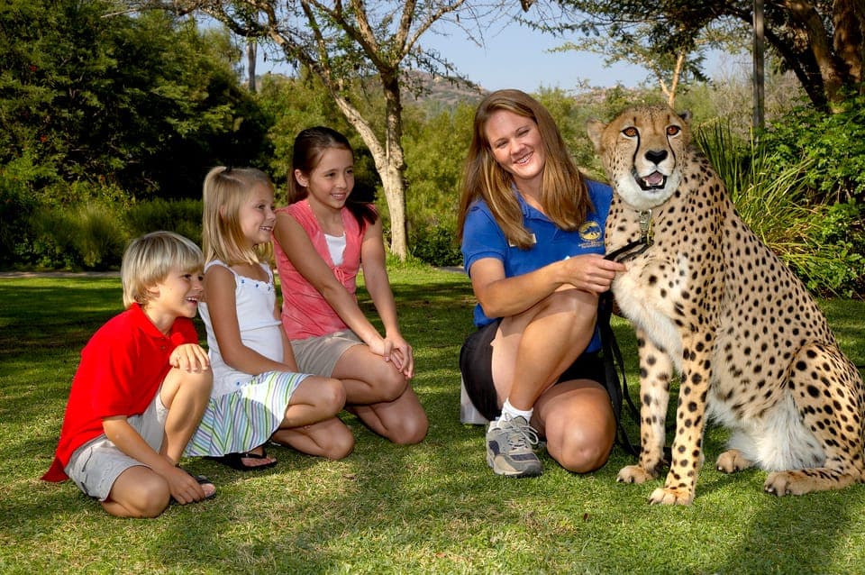 12. San Diego Zoo Safari Park 1-Day Ticket - Image 12