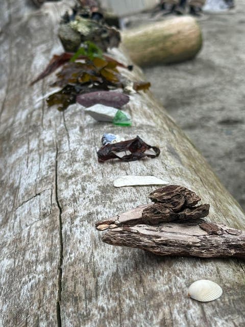 Stanley Park Salish Sea & Me Gallery Image 4