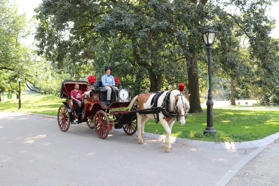 Central Park Horse Carriage 25-min Ride Gallery Image 2