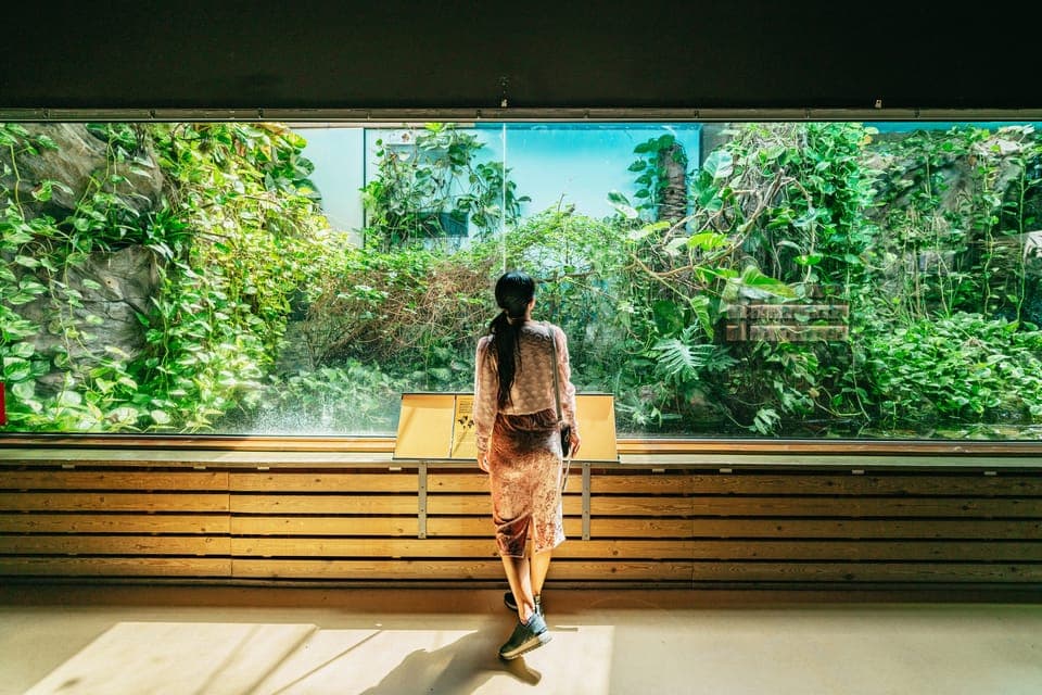 1-Day Ticket to Barcelona Zoo Gallery Image 2