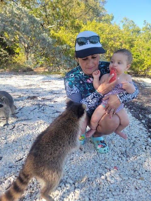 Raccoon Island: Exploration on SUP/Kayak Gallery Image 3