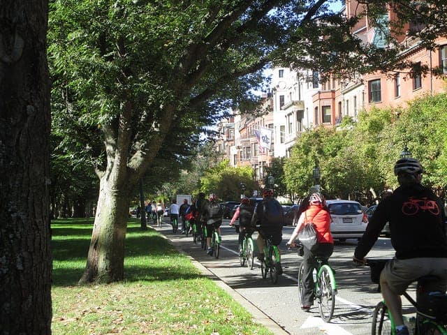 Full Day Bike Rental Gallery Image 3