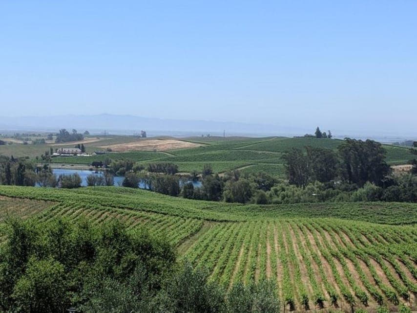 Napa and Sonoma Valley Private Wine Tour - Image 3