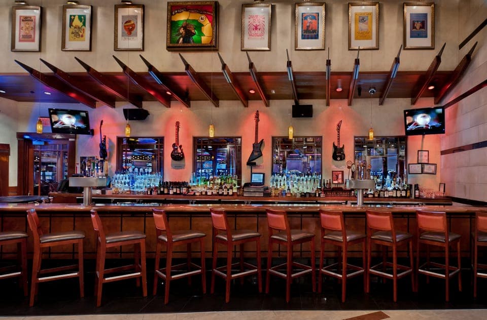 Meal at the Hard Rock Cafe Hollywood Florida Gallery Image 2