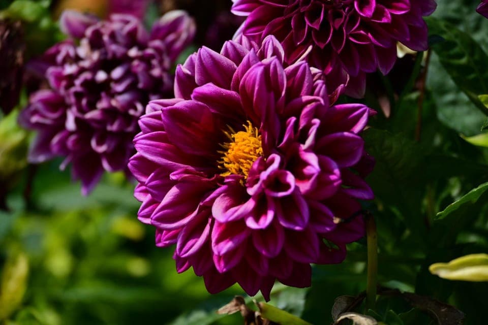 Guided Photography Tour with Boat Ride Gallery Image 4