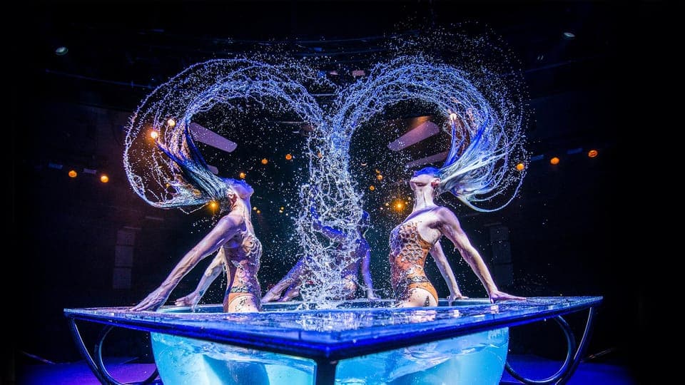WOW - The Vegas Spectacular at Rio Hotel & Casino Gallery Image 3