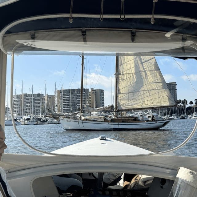 Marina del Rey: 1-Hour Boat Tour Gallery Image 3