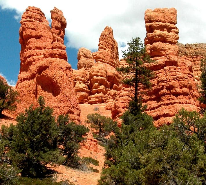 Bryce Canyon and Zion Park Combo Tour Gallery Image 2