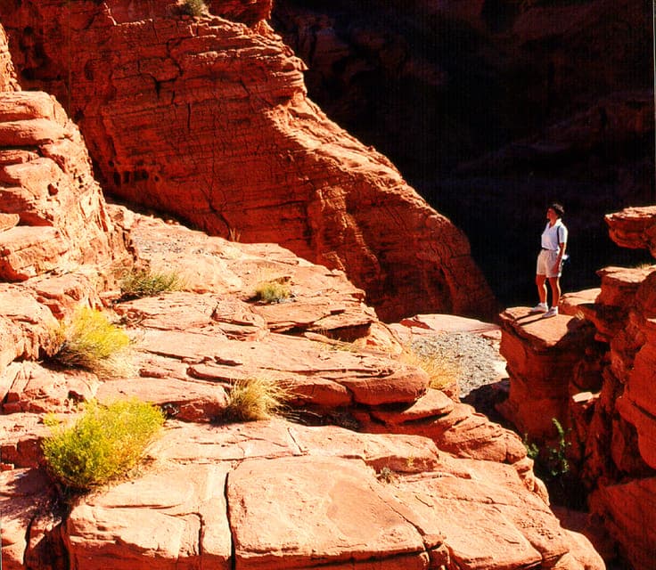Valley of Fire Tour Gallery Image 2