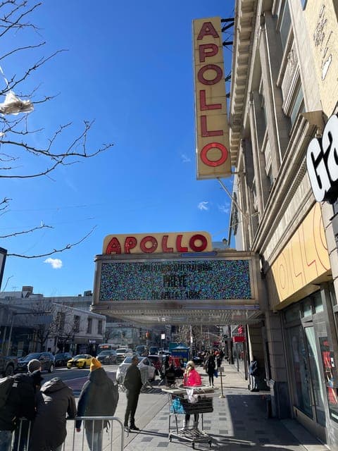 New York | French guided tour Harlem & Columbia University Gallery Image 3