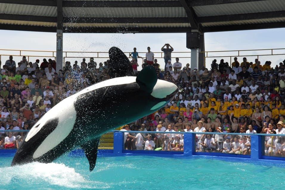 Miami: Go City Explorer Pass - Choose 2 to 5 Attractions Gallery Image 2