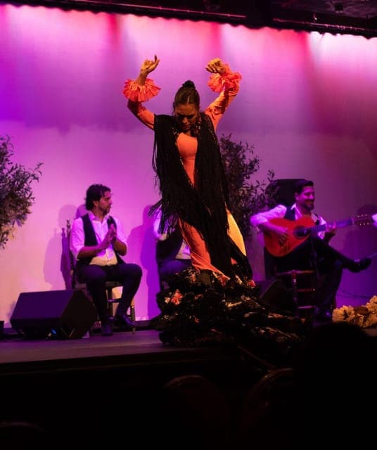 Flamenco Experience (30 minute masterclass) Gallery Image 3