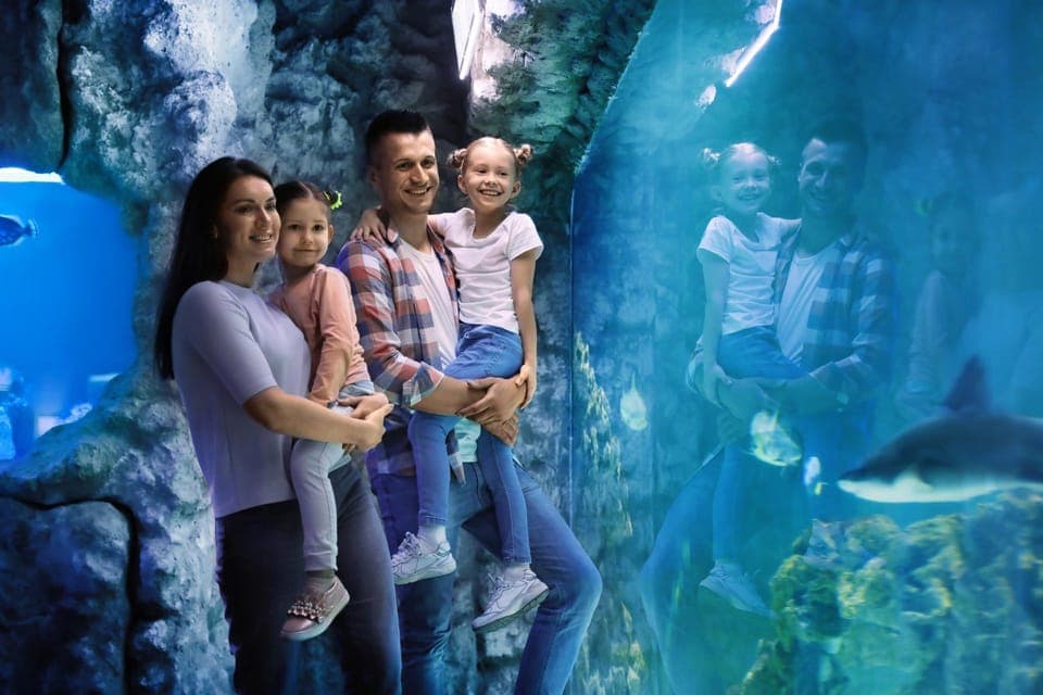 San Francisco California Academy of Sciences with Admission Gallery Image 2