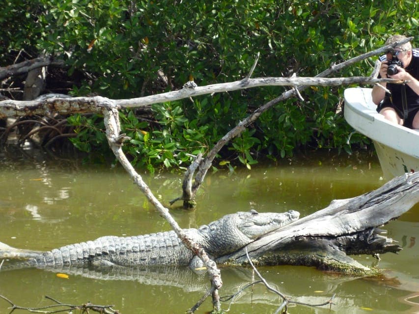 From Cancun: Kantemó Snake Cavern Adventure Gallery Image 3
