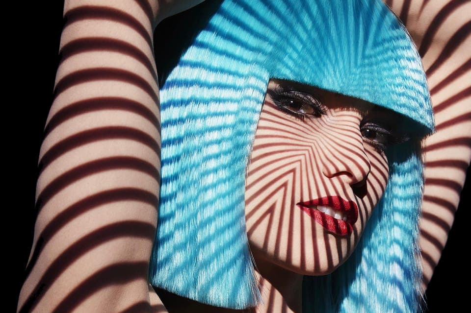 Crazy Horse Cabaret Show Gallery Image 2