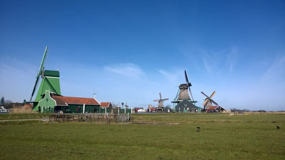 Zaanse Schans 3-Hour Small Group Tour Gallery Image 2