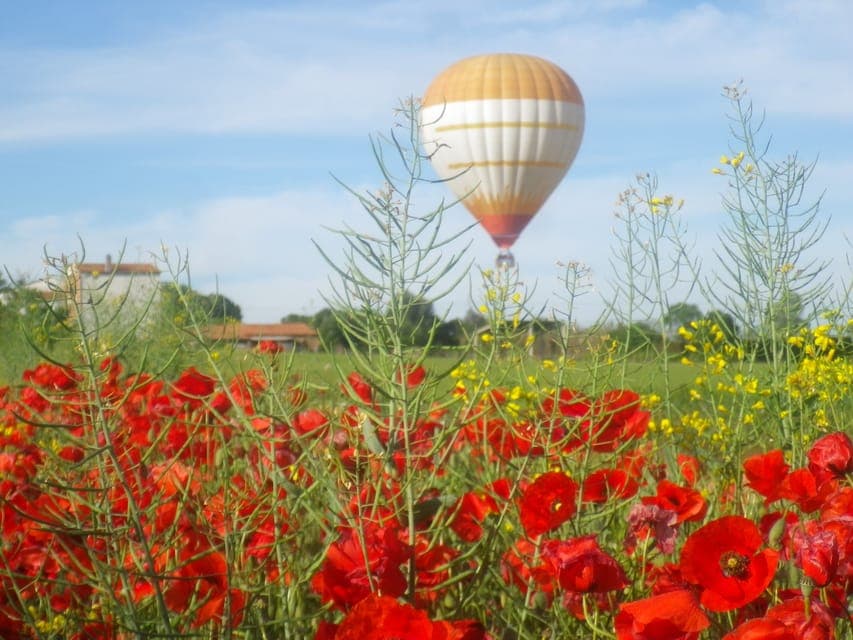 Half-Day Hot Air Balloon Flight Ticket Gallery Image 3