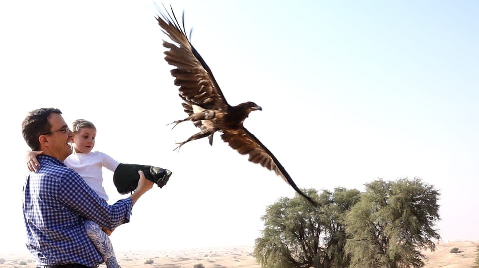 Private Falconry Safari - Image 8
