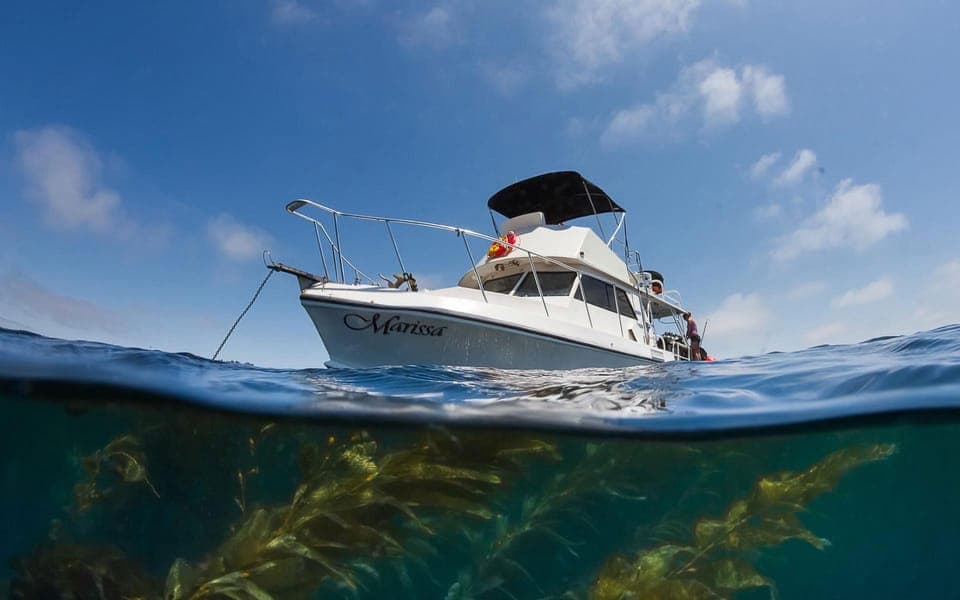 Mission Bay San Diego: Private Boat Cruises, Your Way Gallery Image 4