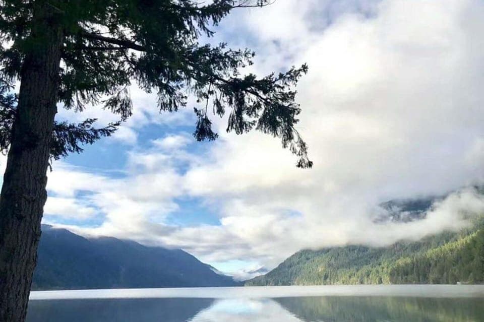 31. Olympic National Park Small Group Day Tour w/ State Ferries - Image 31