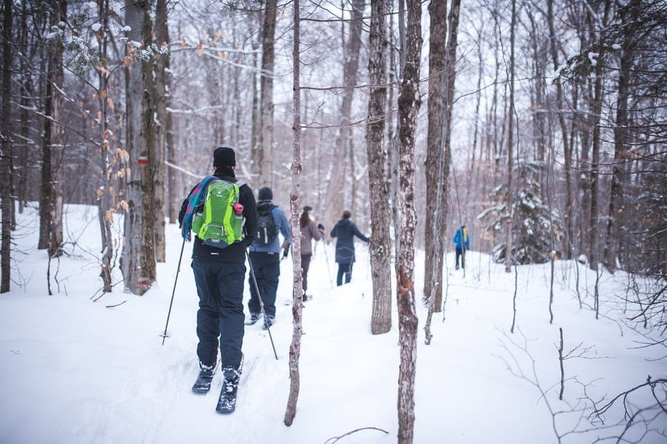 11. Jacques-Cartier National Park: Skiing Excursion - Image 11