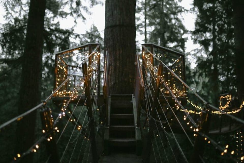 Vancouver Capilano Canyon light&peak of Christmas in Grouse Gallery Image 4