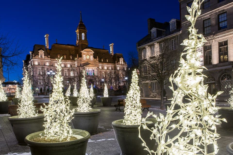 Old Montréal Small-Group Christmas Tour Gallery Image 2