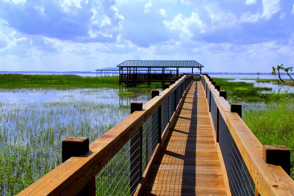 Wild Florida Airboat Ride with Transport & Lunch Gallery Image 3