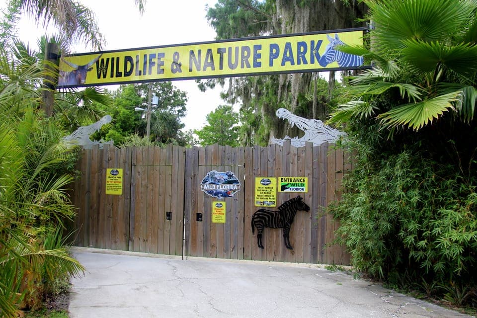 Wild Florida Airboat Ride with Transport & Lunch Gallery Image 4