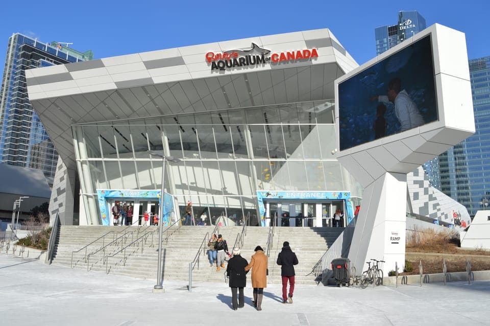 Ripley's Aquarium of Canada Entry Ticket Gallery Image 3