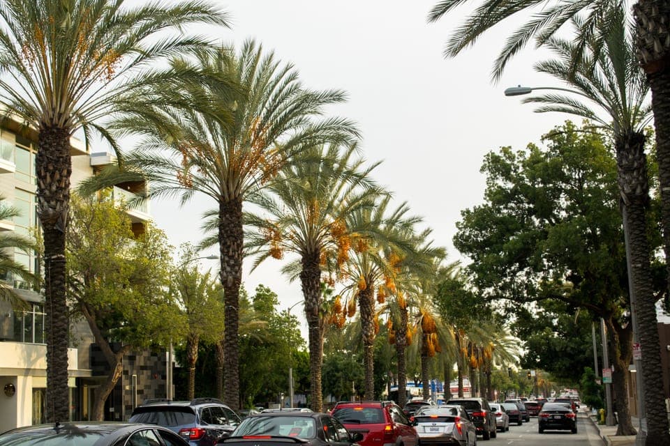 4. 3-Hour Private Driving Tour w/ Local Guide - Image 4