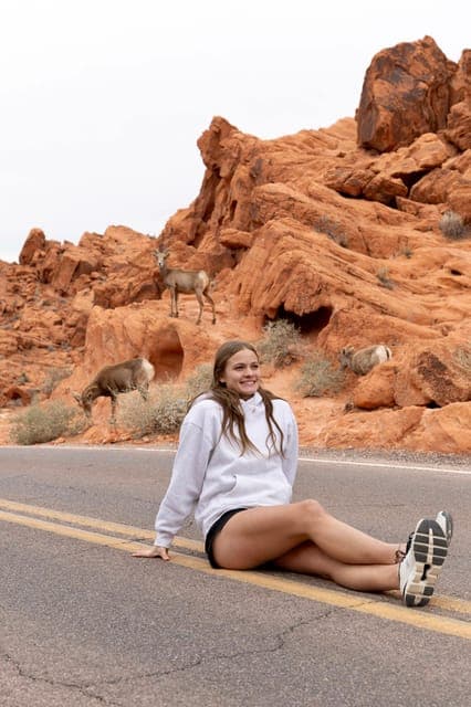 Valley of Fire and Red Rock Canyon Day Trip Gallery Image 4