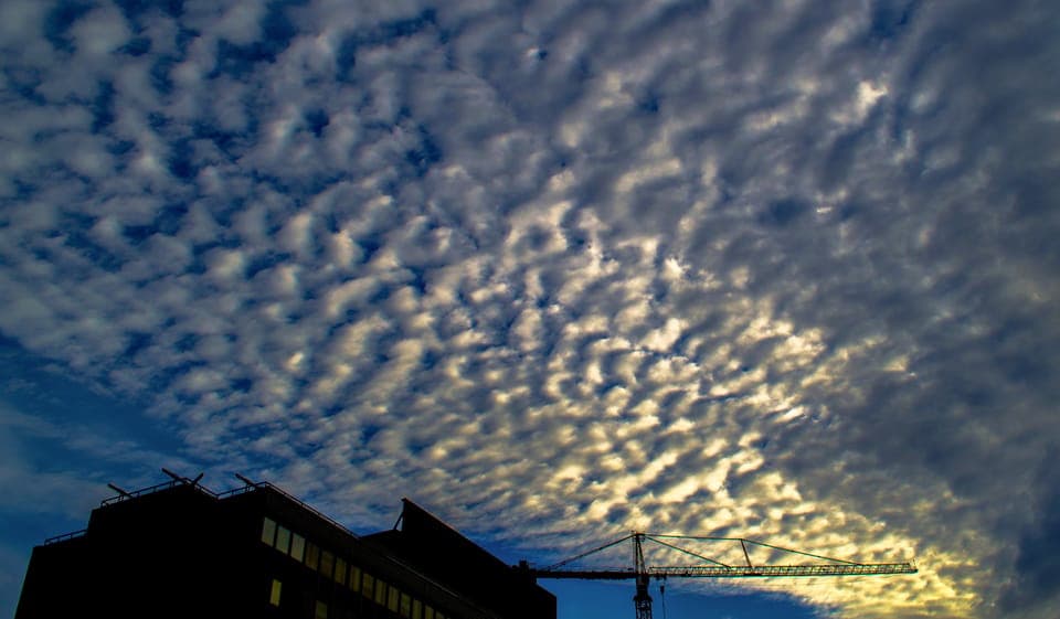 Private Los Angeles Tour by Night Gallery Image 2