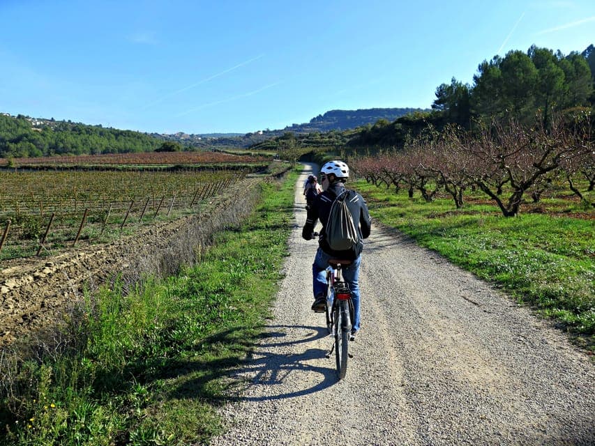 Guided Half-Day Wine and Electric Bike Tour Gallery Image 2