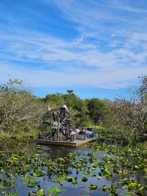 Everglades: boat tour with transportation& entrance included Gallery Image 2