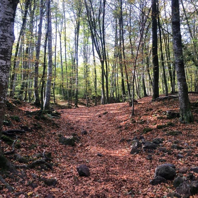 13. Medieval Villages and Volcanic Hiking Tour - Image 13