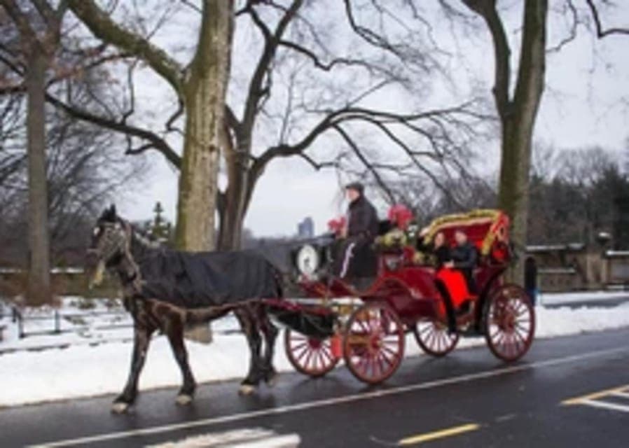 Central Park Horse Carriage 45-min Ride Gallery Image 2