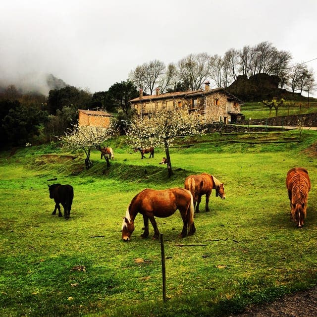 Medieval Villages and Volcanic Hiking Tour Gallery Image 3
