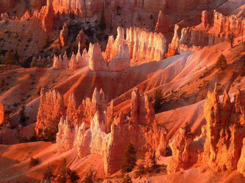 Los Angeles: 10-Day Yellowstone National Park Round Tour Gallery Image 4