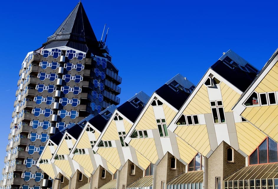 Rotterdam and The Hague Tour in Spanish Gallery Image 2