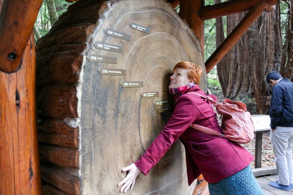 Alcatraz Night & Muir Woods & Sausalito Gallery Image 3