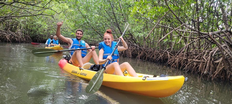 Biscayne Bay Ultimate Boat Tour with Kayak Experience Gallery Image 4