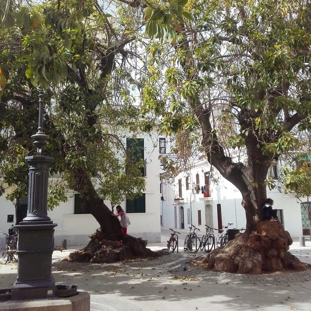 Unusual Barcelona Bike Tour in French Gallery Image 4