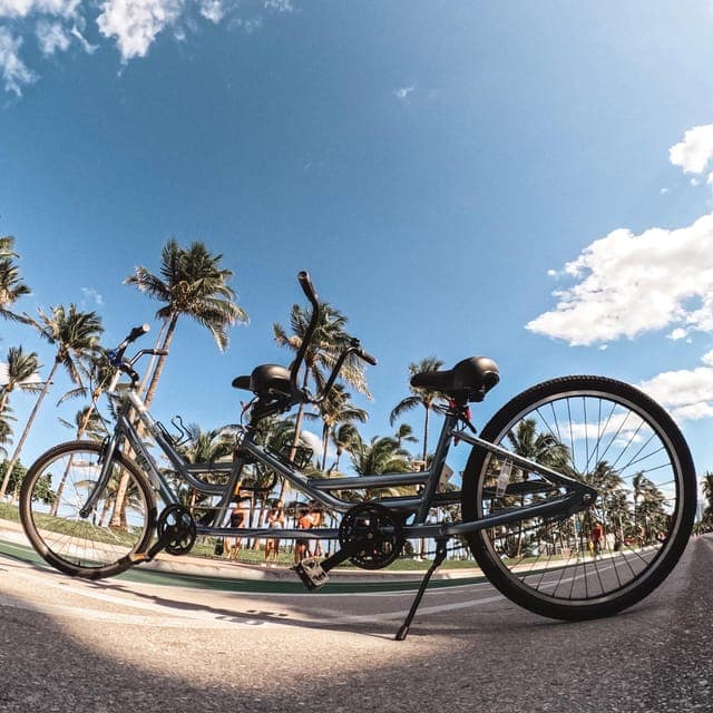 South Beach Tandem Bike Rental Gallery Image 4