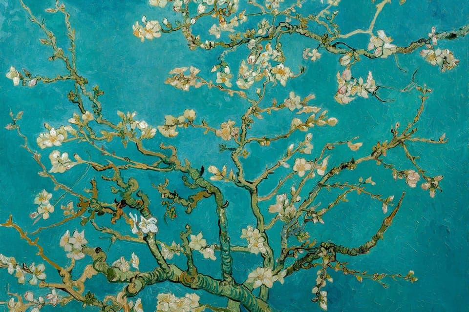 Van Gogh Museum Ticket & Canal Cruise Gallery Image 2