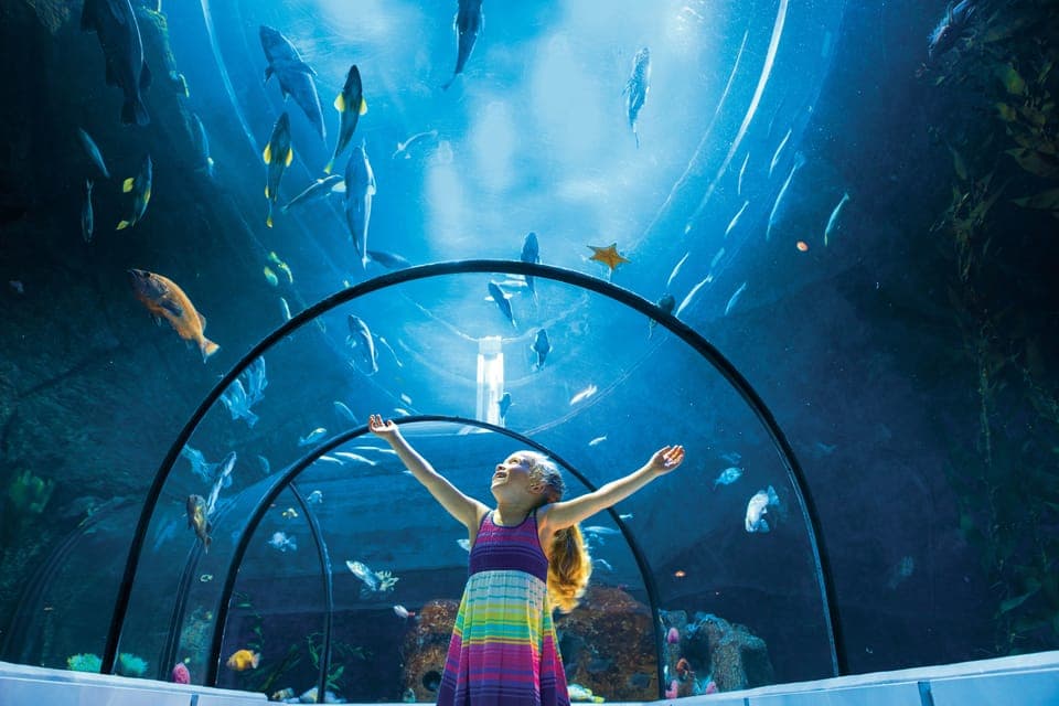 Aquarium du Quebec Entry Ticket - Image 1