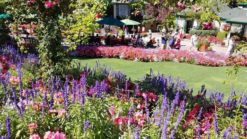 5. Victoria & Butchard Gardens Private Tour from Vancouver - Image 5