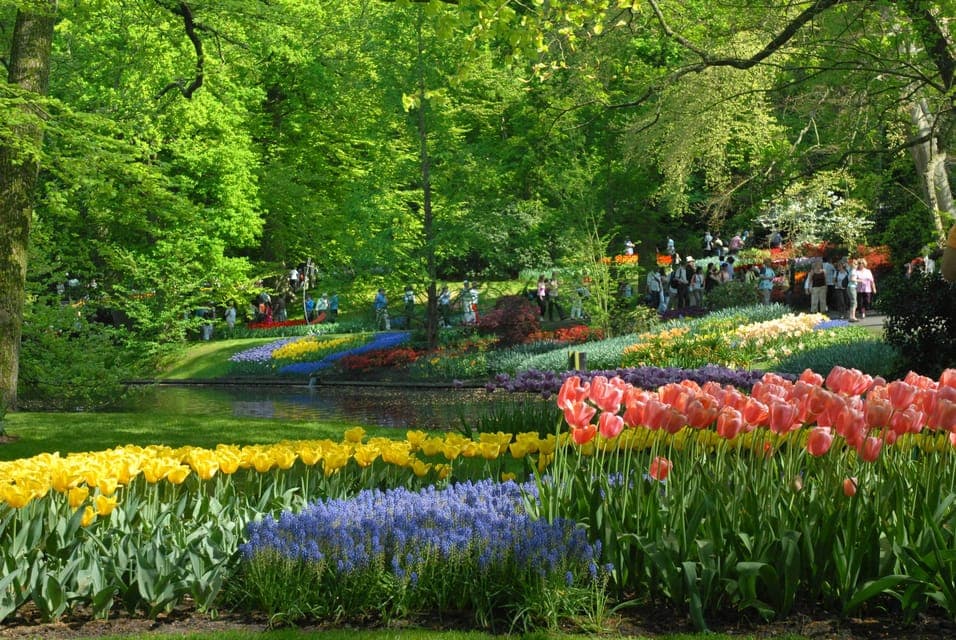 Half-Day Keukenhof Guided Tour with Entrance - Image 1