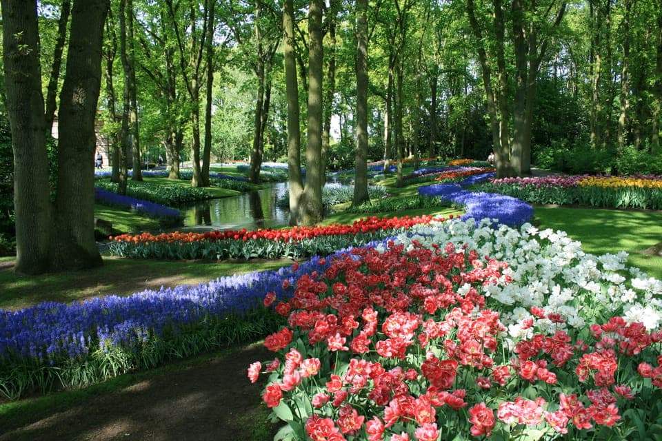 Half-Day Keukenhof Guided Tour with Entrance Gallery Image 3